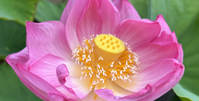 お墓