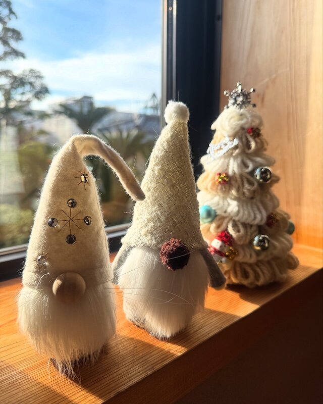 ✴︎ 11月 報土寺てらすのご案内 ✴︎