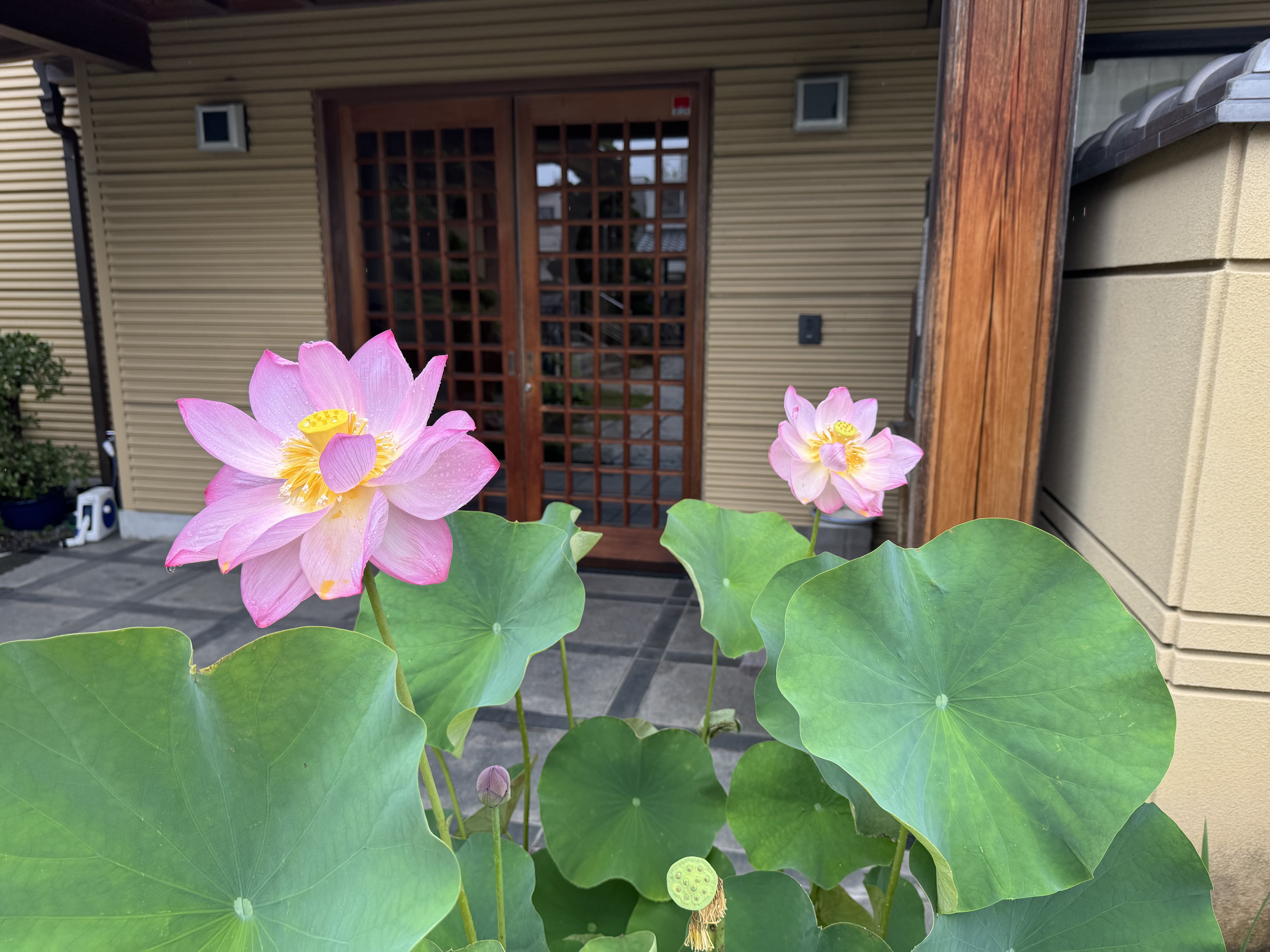 7月　行事案内