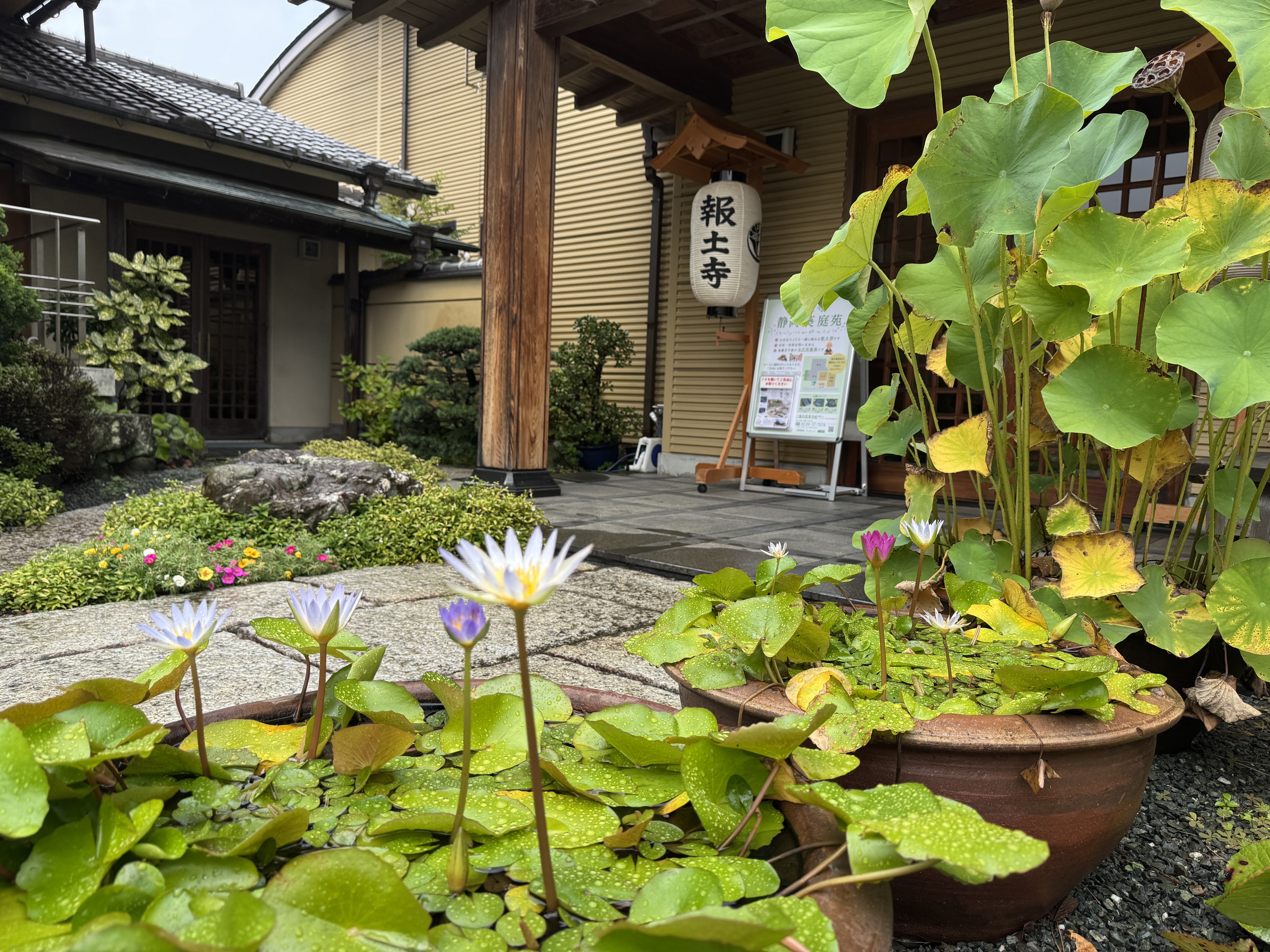 明日は施餓鬼会です