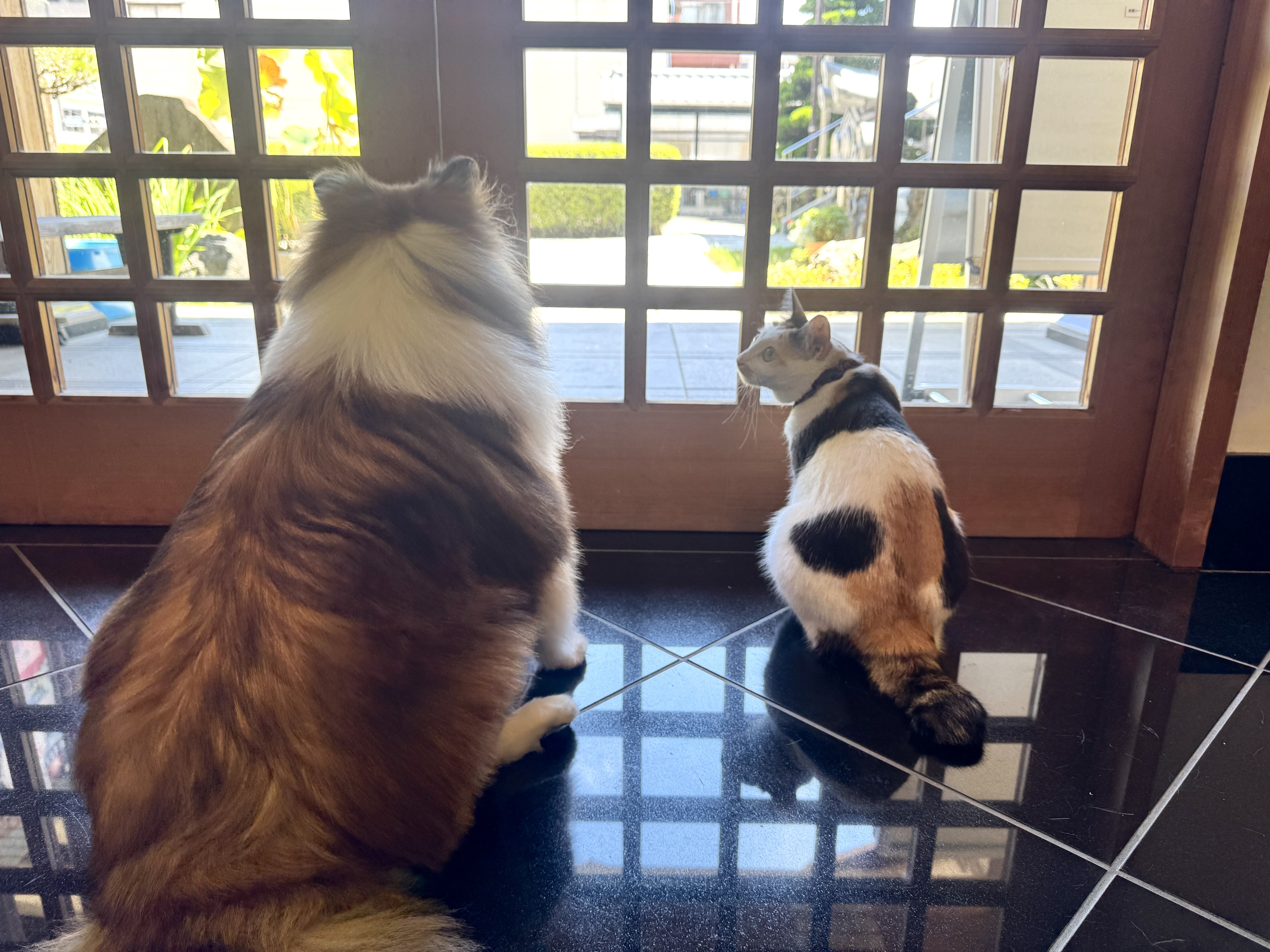 ８月になりました