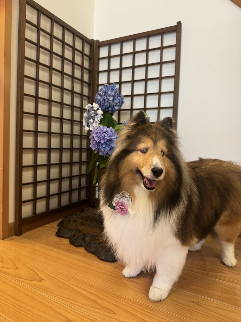 ８月　行事案内