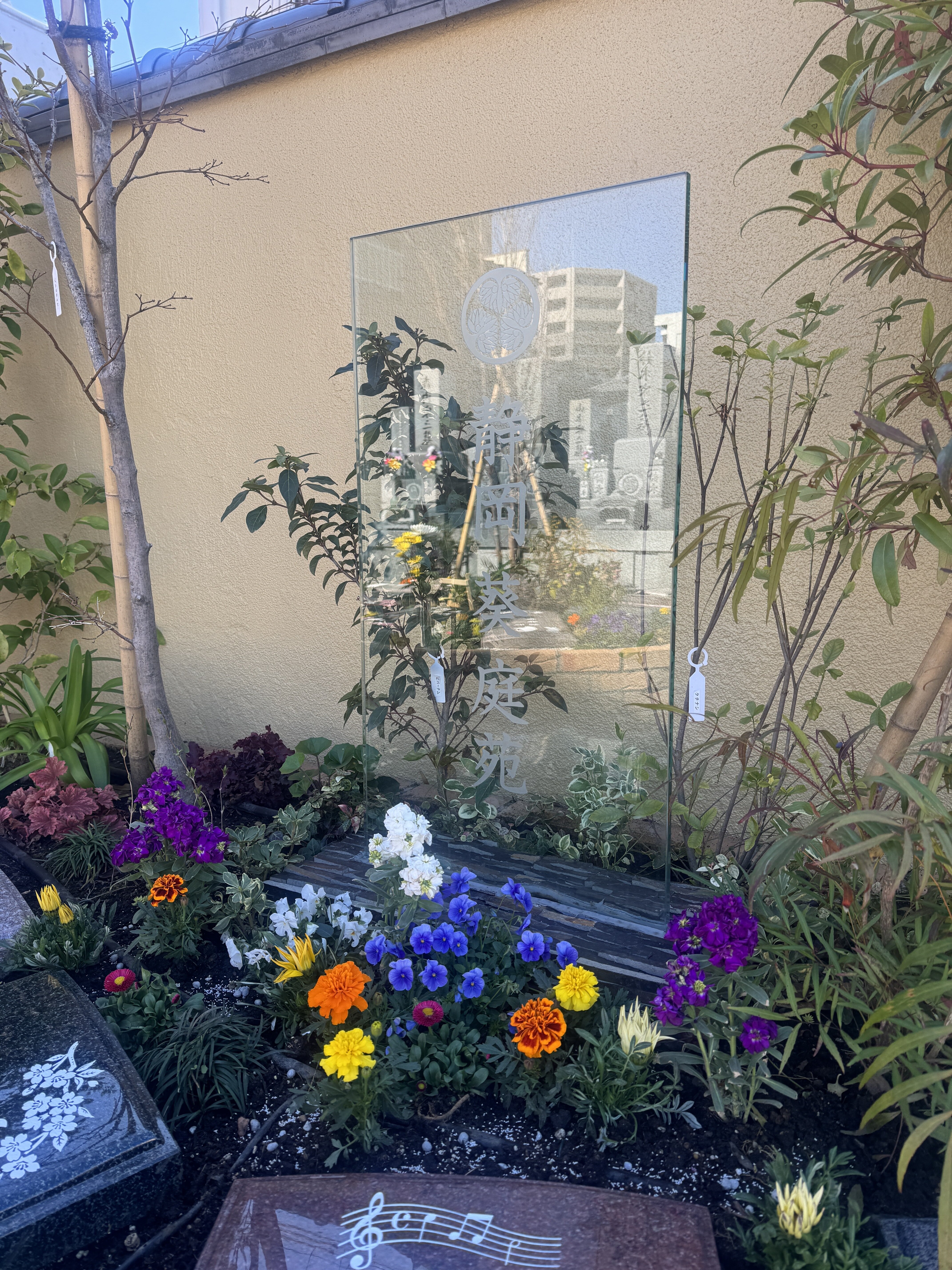 樹木葬は春に向けて